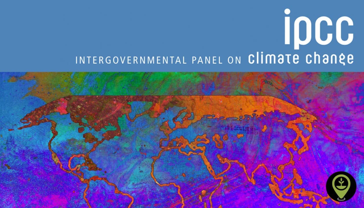 Mengenal IPCC: Pilar Penting dalam Penanganan Perubahan Iklim