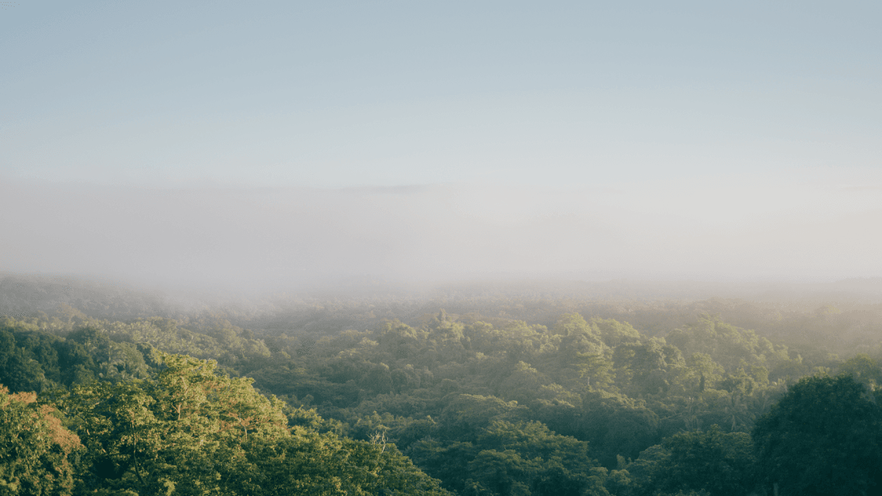 Penting untuk Dipahami! Syarat dan Prosedur Pengajuan AMDAL