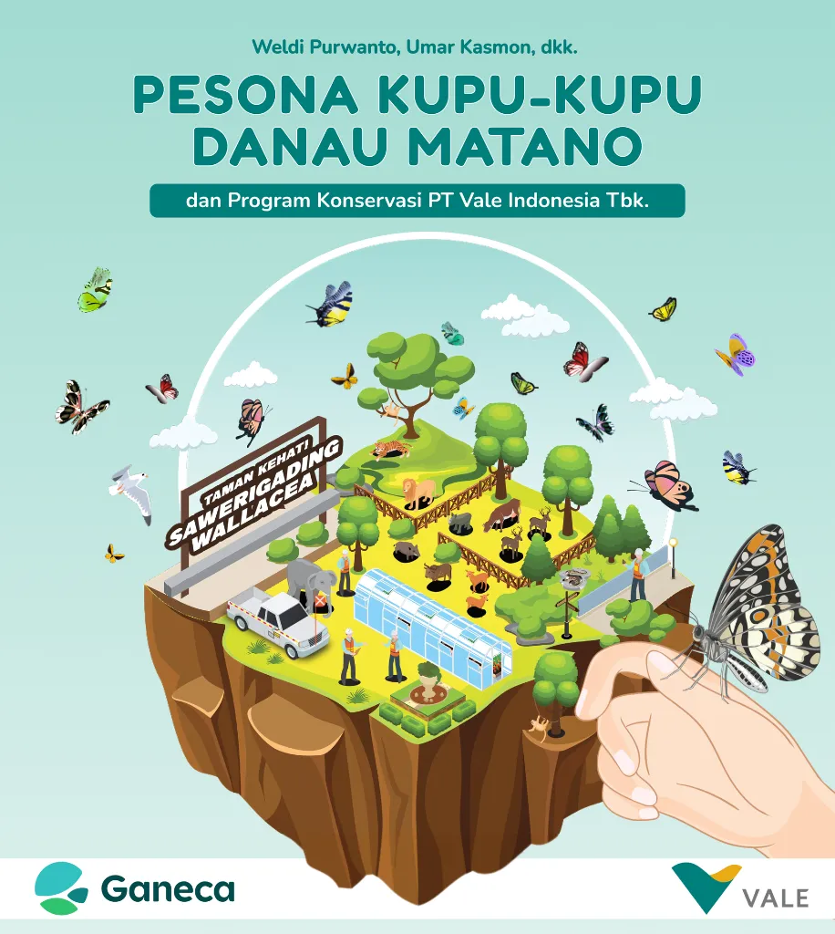 Pesona_Kupu_kupu_Vale (1).webp